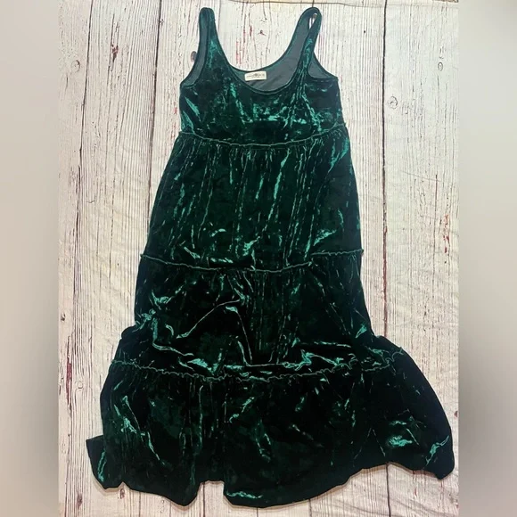 Natural Life Karlie Velvet Maxi Dress - Picture 6 of 6